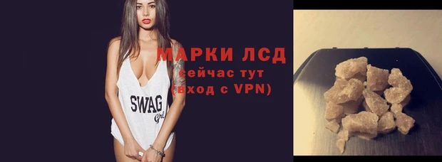 прущие грибы Белокуриха