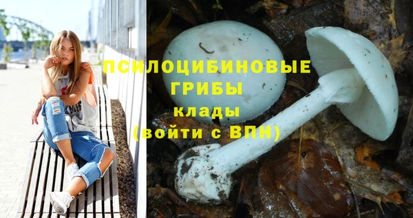 гидропоника Беломорск