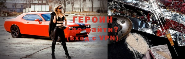 прущие грибы Белокуриха